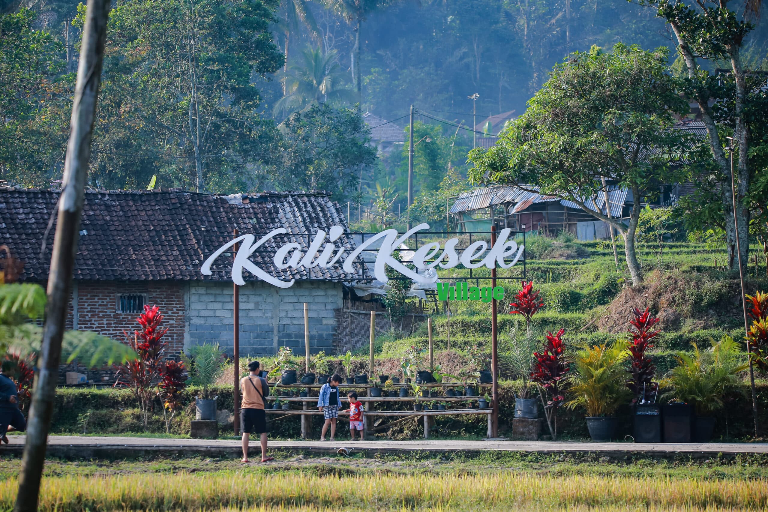 Sampul artikel Desa Wisata Arenan Kalikesek