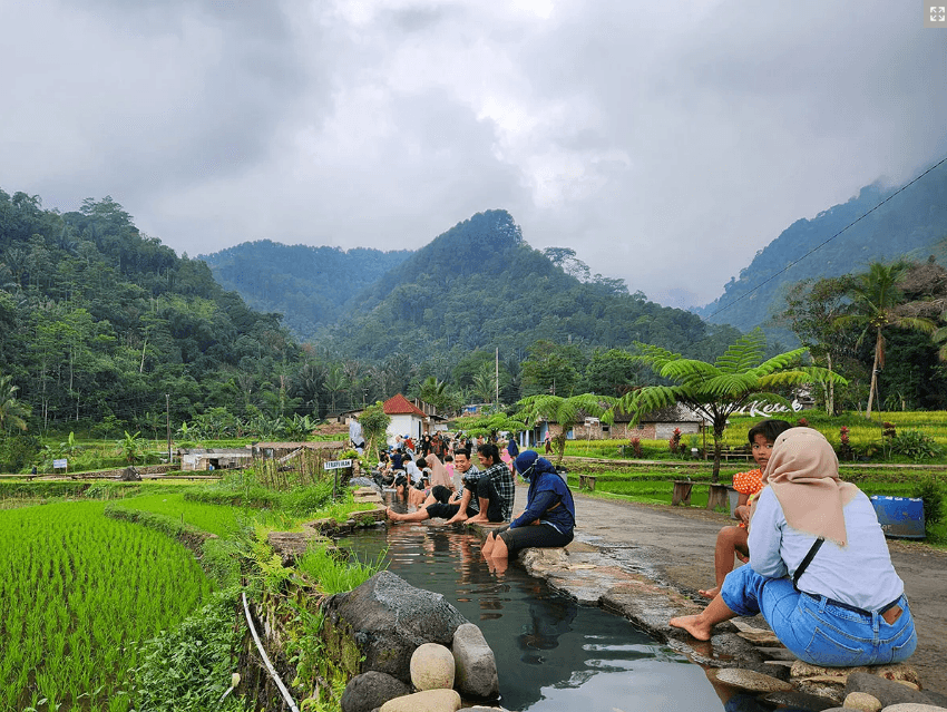 Sampul artikel Efek Terapi Ikan untuk Kesehatan: Manfaat dan Pengalaman di Desa Wisata Arenan Kalikesek